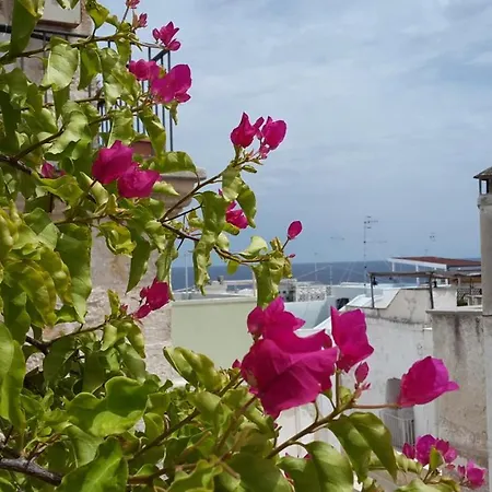Lägenhet La Casetta Nel Vico Polignano a Mare