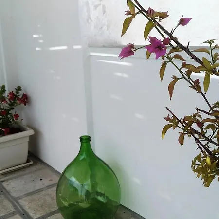 Apartamento La Casetta Nel Vico