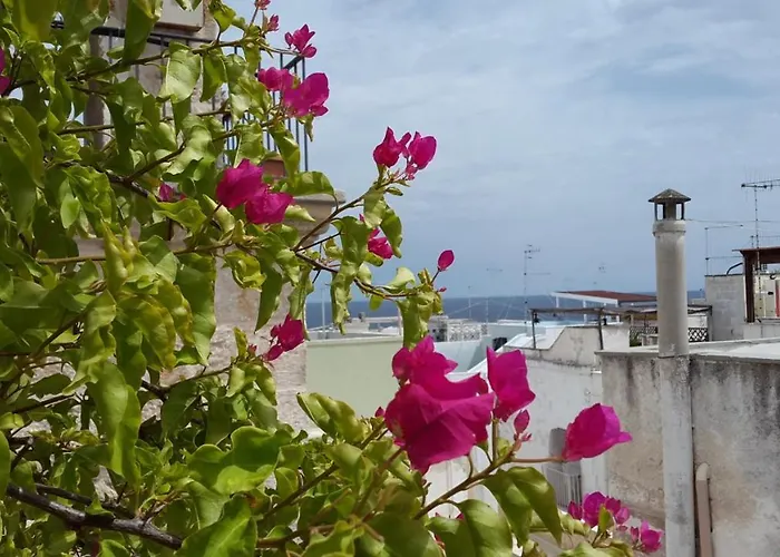 아파트 La Casetta Nel Vico 폴리나노 아마레